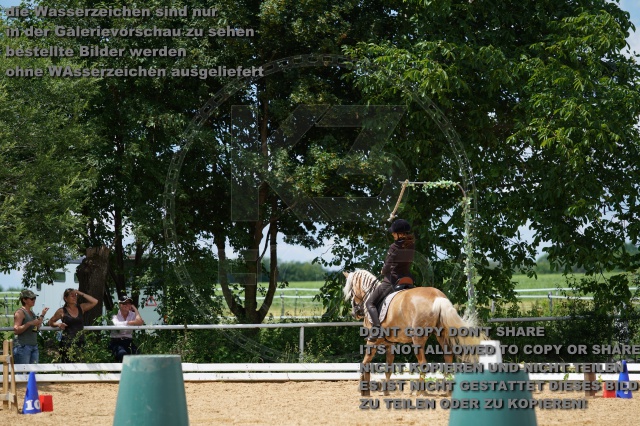 s_K3F06079.JPG